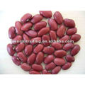 Red kidney beans